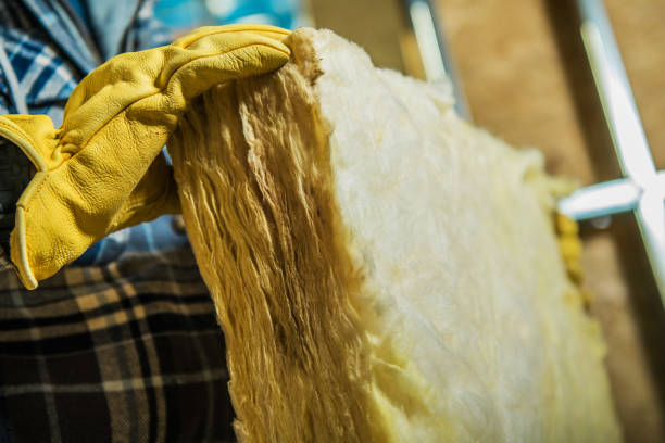Best Eco-Friendly Insulation in Roslyn, NY