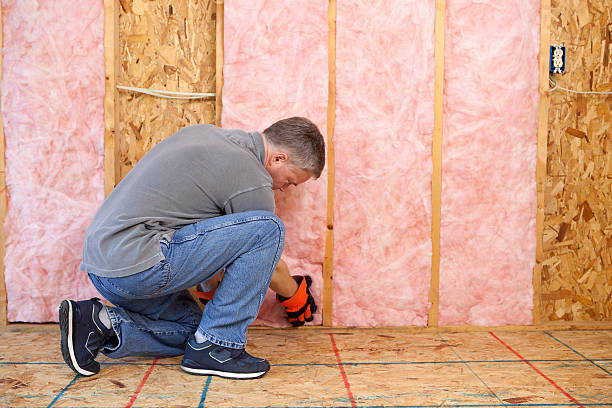 Best DIY Insulation Kits and Guidance in Roslyn, NY